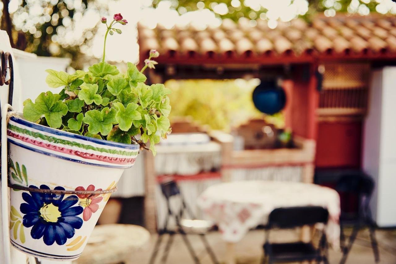 Guadalcanal Vivienda Turistica La Huerta 빌라 외부 사진